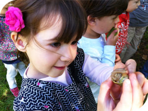 ecole-maternelle-elementaire-perpignan